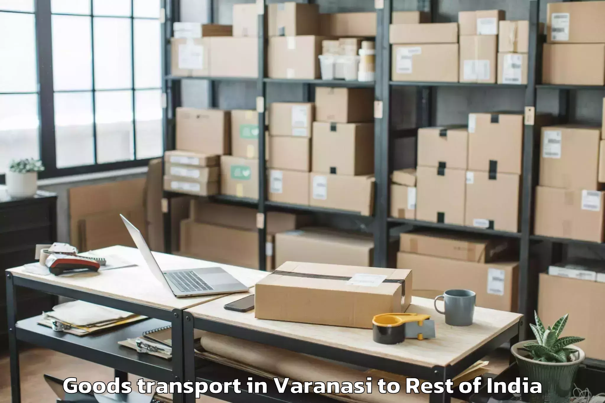 Efficient Varanasi to Padum Goods Transport